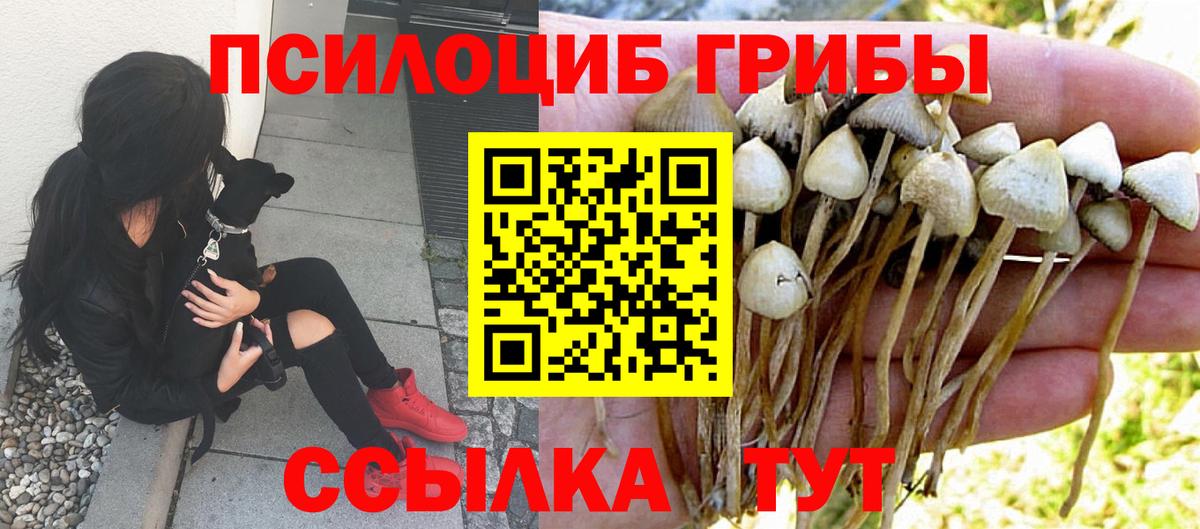 Луховицы  Псилоцибиновые грибы мицелий  Псилоцибиновые грибы прущие грибы  Вход с VPN 